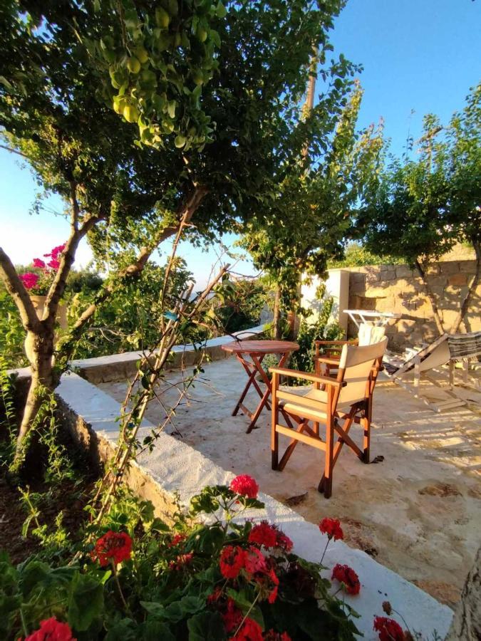 Traditional Studio Chora Patmos Extérieur photo