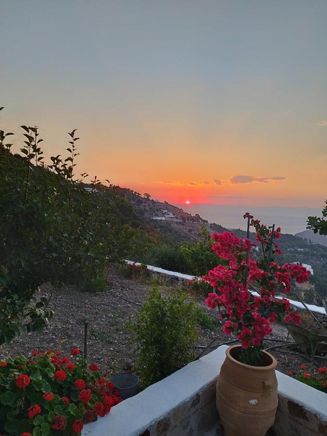 Traditional Studio Chora Patmos Extérieur photo
